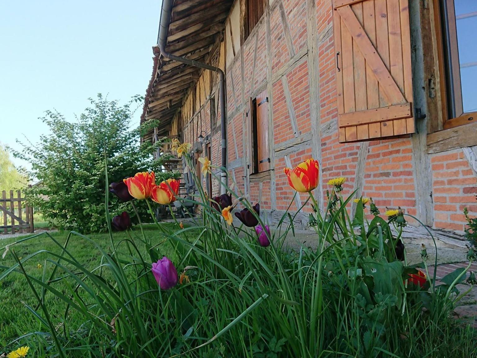 A La Poularde B&B Curciat-Dongalon Habitación foto